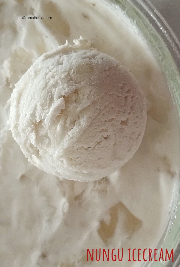 Nungu ice cream recipe /ice apple icecream(Palmyra fruit) - Marudhuskitchen